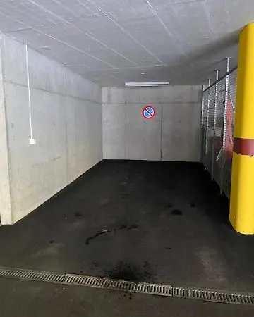 Luxury Family Apartment Engelberg